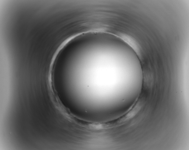 X0000098100956200804111020