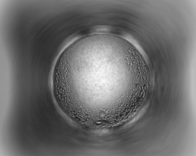 X0000098100957200804111020