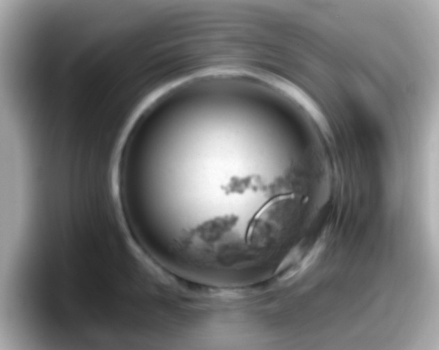 X0000098100958200804111020