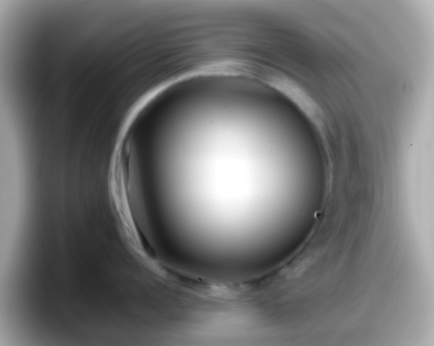 X0000098100960200804111020