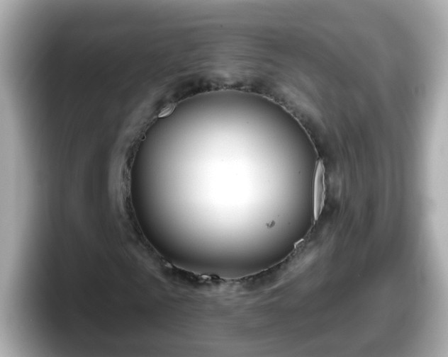 X0000098100961200804111019