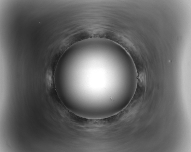 X0000098100963200804111019