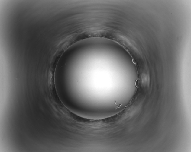 X0000098100964200804111019