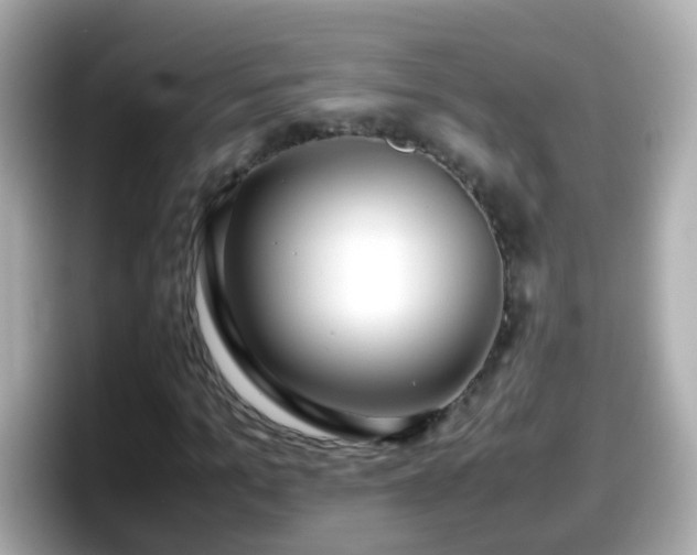 X0000098100965200804111019