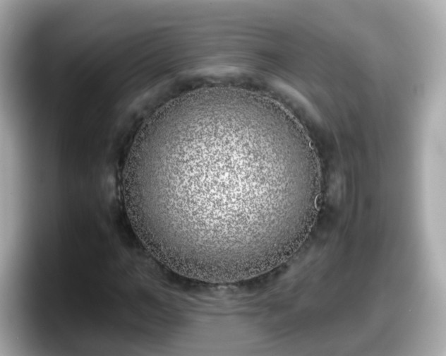 X0000098100966200804111019
