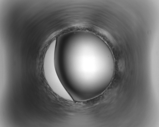 X0000098100968200804111019