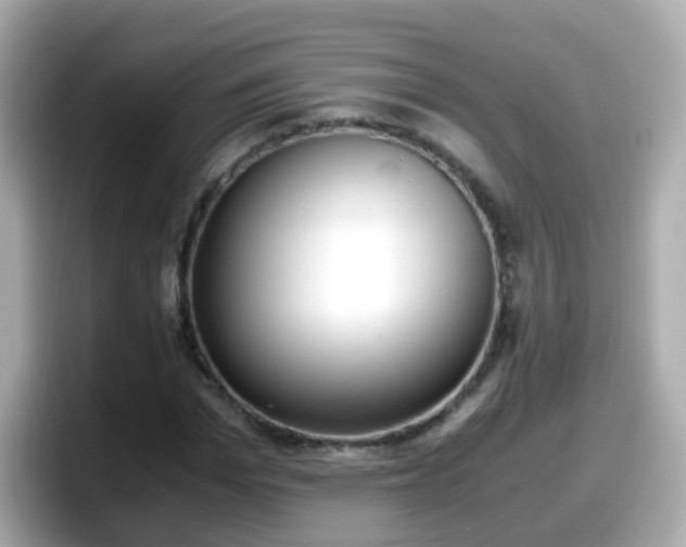 X0000098100969200804111019