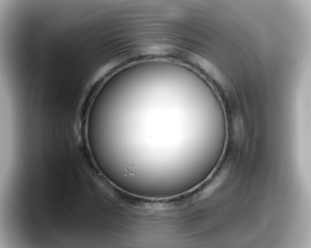 X0000098100970200804111019