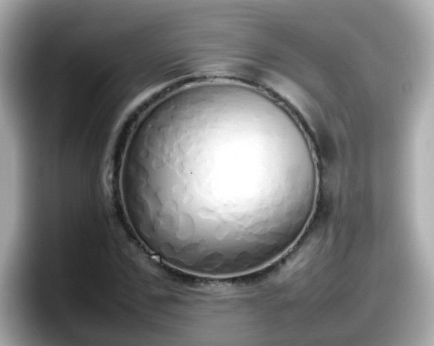 X0000098100971200804111019