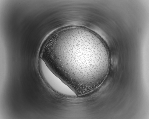 X0000098100972200804111019