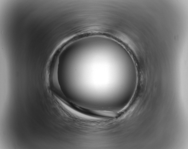 X0000098100973200804111019