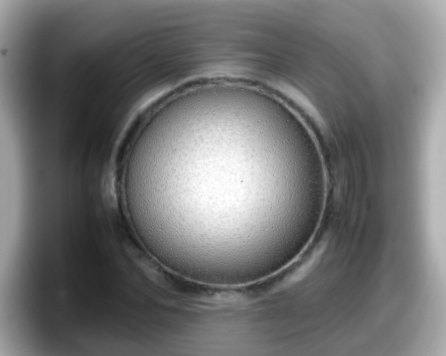 X0000098100974200804111019