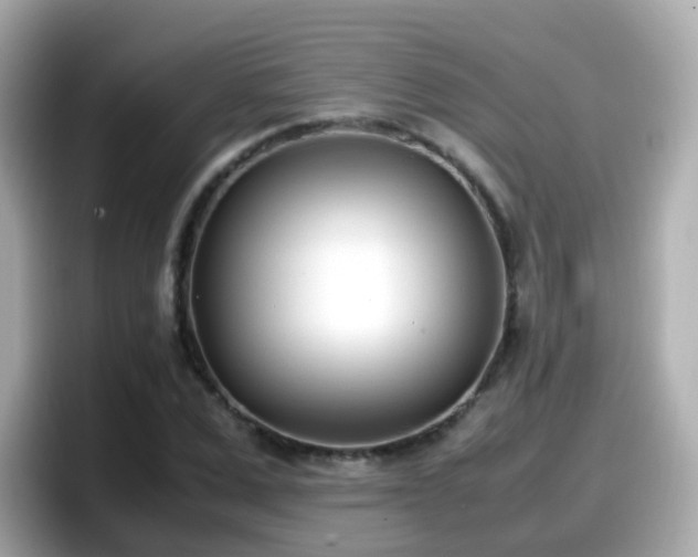 X0000098100975200804111019