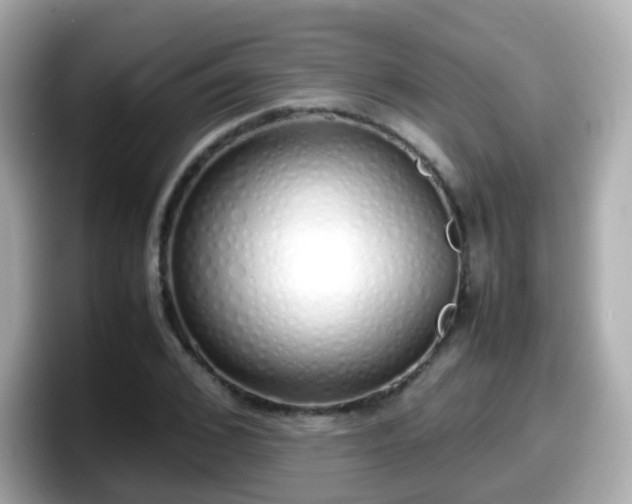 X0000098100976200804111019