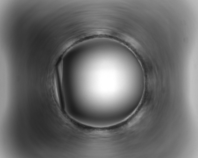 X0000098100977200804111019