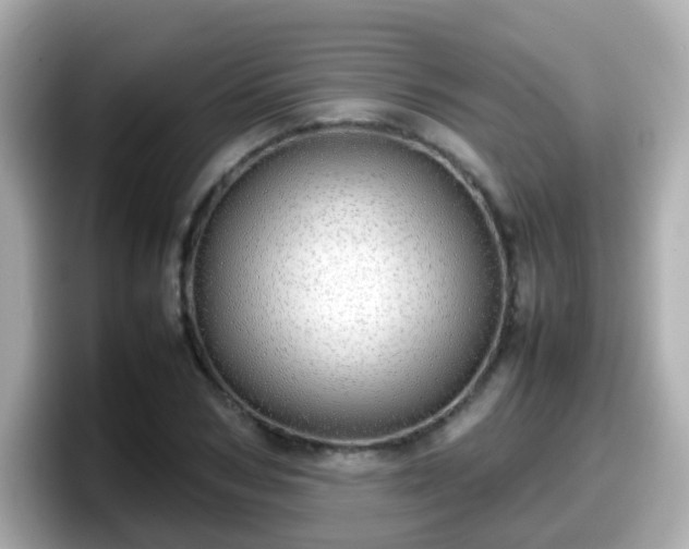 X0000098100978200804111019