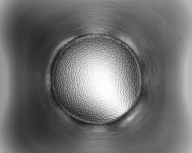 X0000098100979200804111019