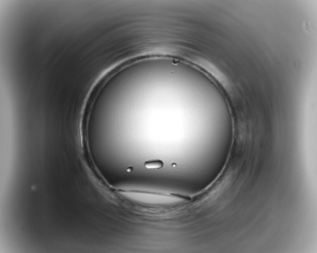 X0000098100980200804111019