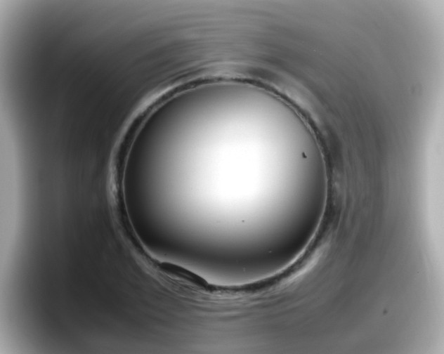 X0000098100981200804111019