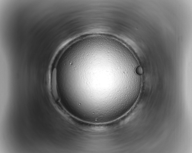 X0000098100982200804111019