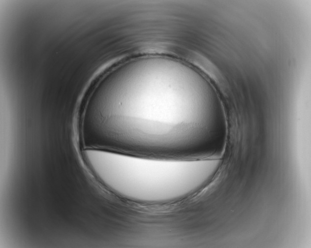 X0000098100984200804111019