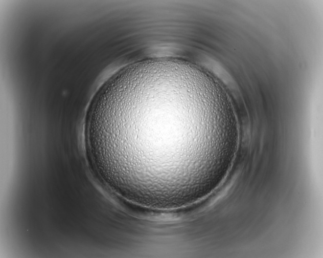 X0000098100986200804111019