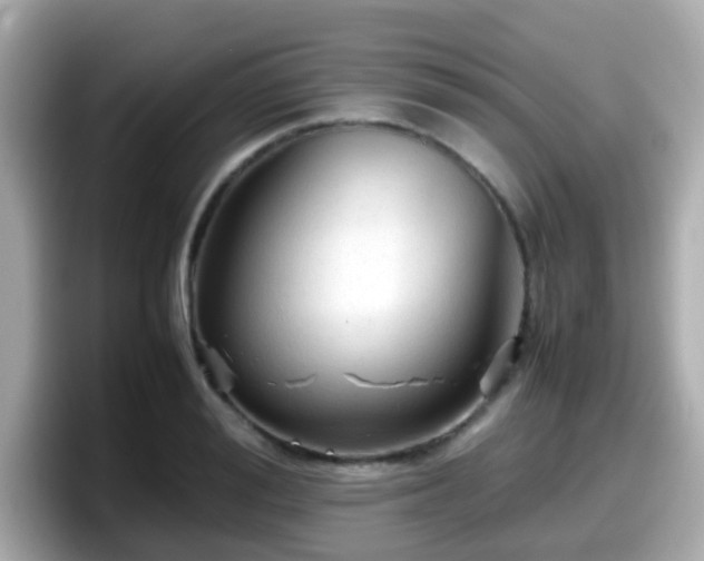 X0000098100988200804111019