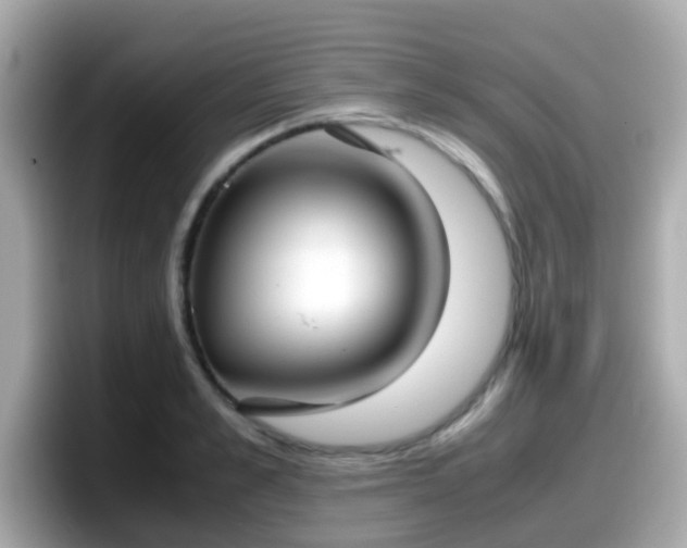 X0000098100989200804111019