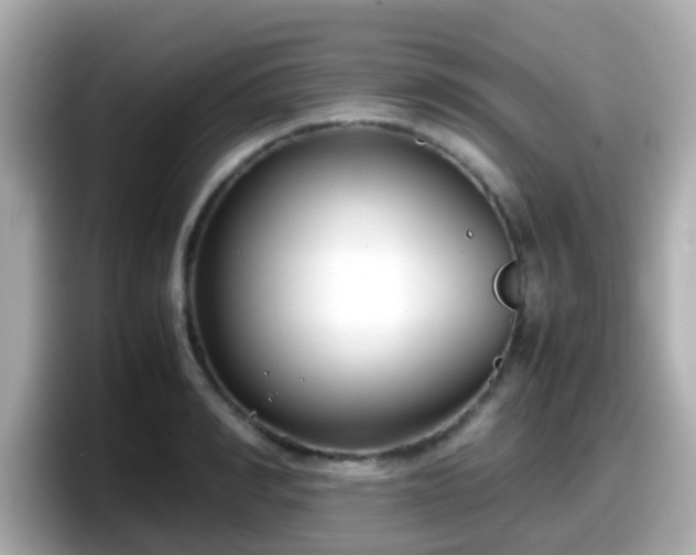 X0000098100990200804111019