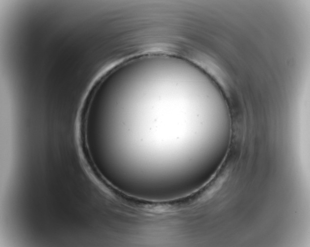 X0000098100991200804111019