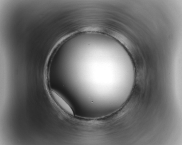X0000098100992200804111019