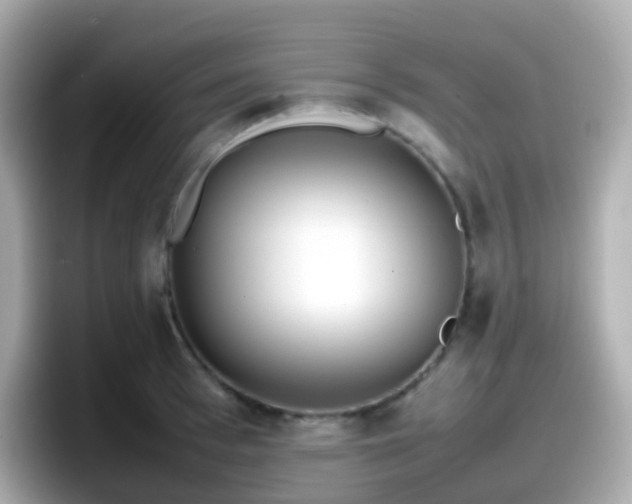 X0000098100993200804111019
