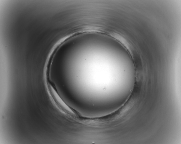 X0000098100995200804111019