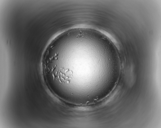 X0000098100998200804111019