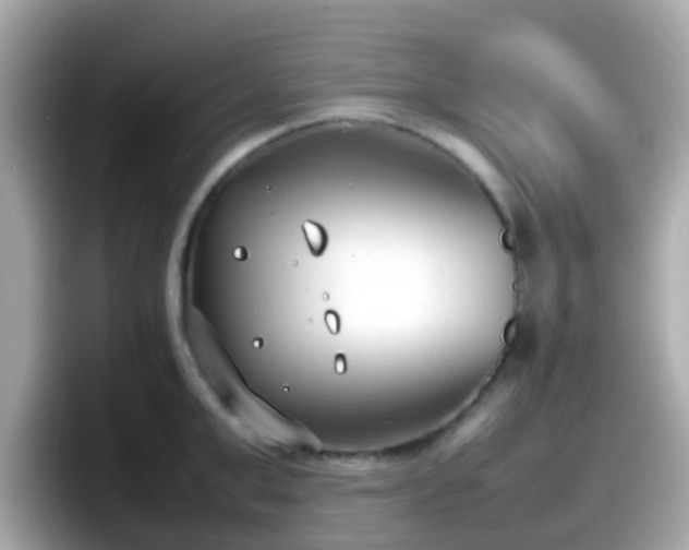 X0000098100999200804111019