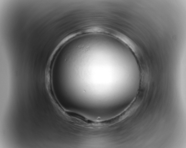 X0000098101000200804111019