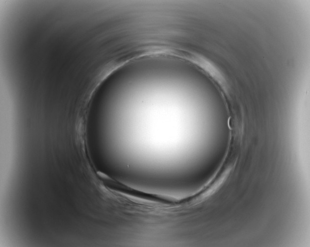X0000098101001200804111019