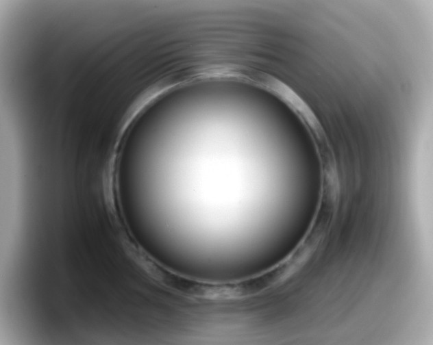 X0000098101002200804111019