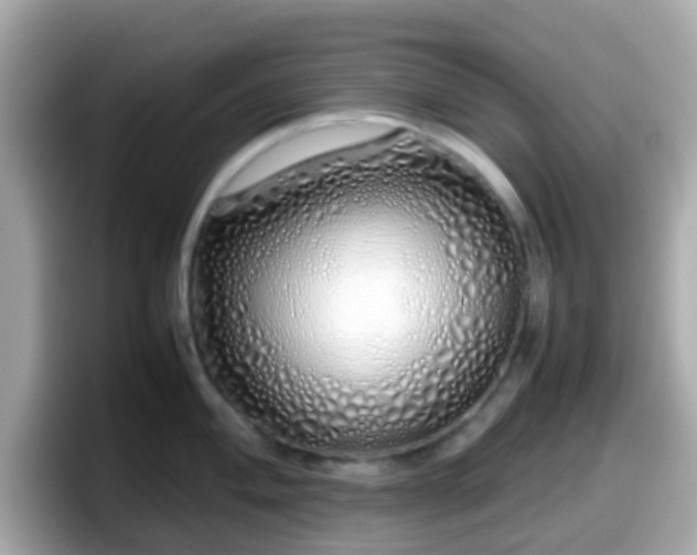 X0000098101004200804111019