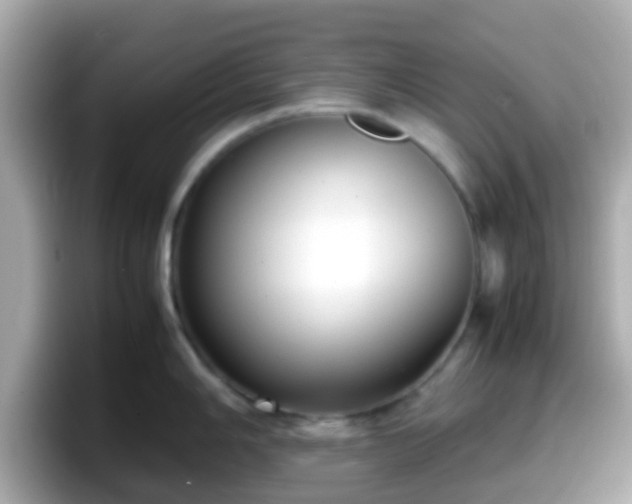 X0000098101006200804111019