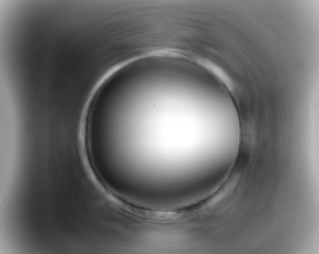 X0000098101007200804111019
