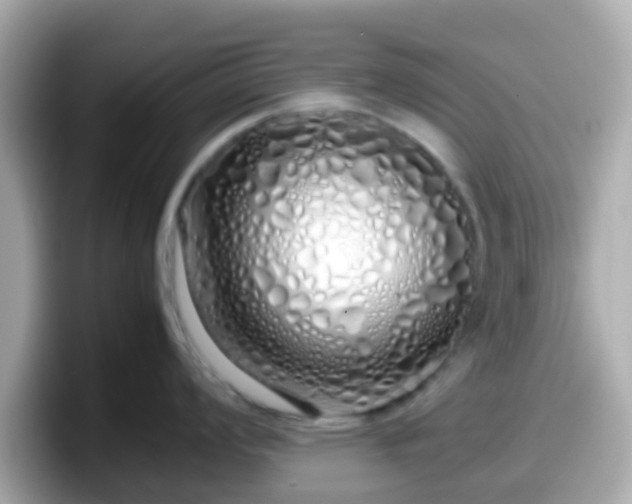 X0000098101008200804111019