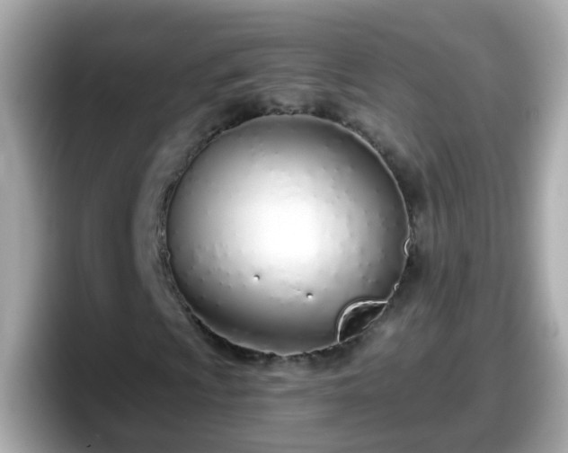 X0000098101009200804111018
