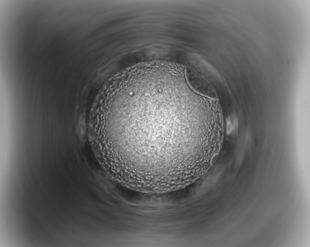 X0000098101011200804111018