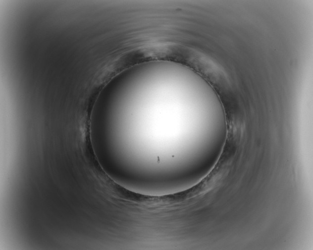 X0000098101012200804111018