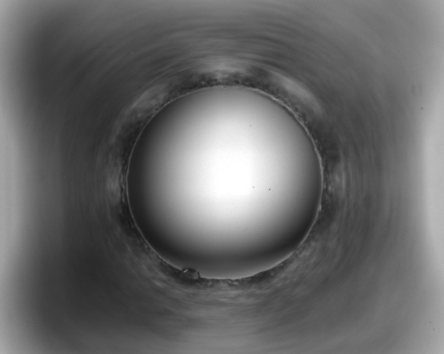 X0000098101014200804111018