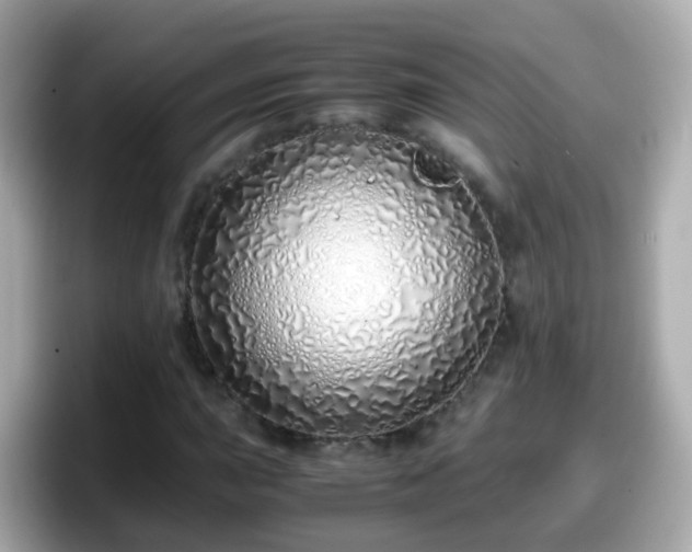 X0000098101015200804111018