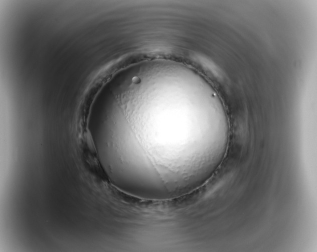 X0000098101016200804111018