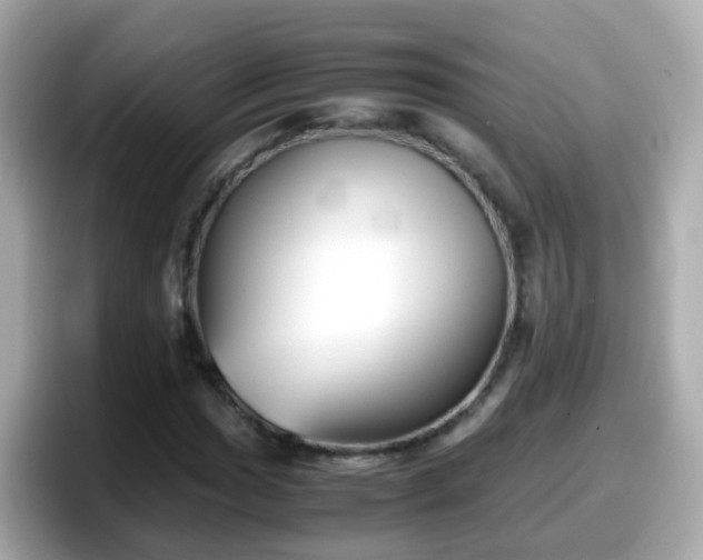 X0000098101017200804111018