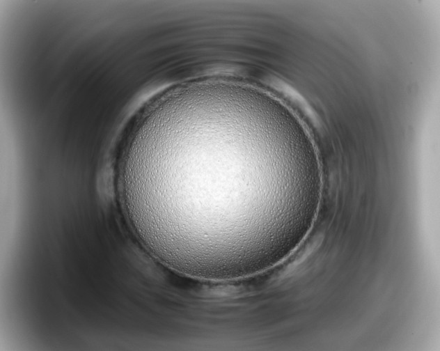 X0000098101019200804111018